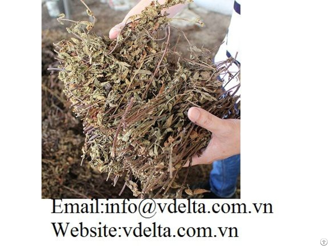 High Quality Dried Grass Jelly Vdelta