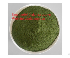High Quality Seaweed Powder Vdelta