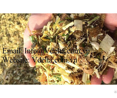 Corn Silage For Animal Feed From Vietnam