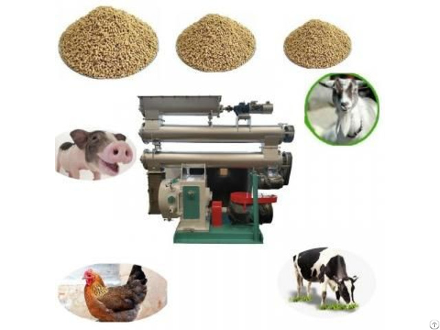 Pellet Making Machinery For Manufacturing Feed Pellets