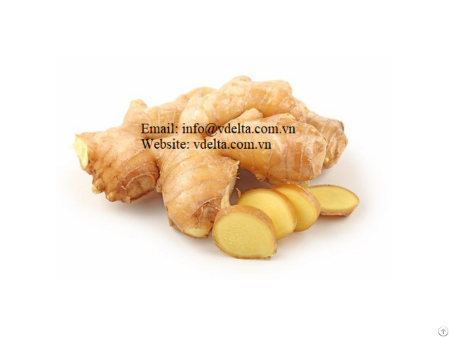 Vietnam Organic Fresh Ginger