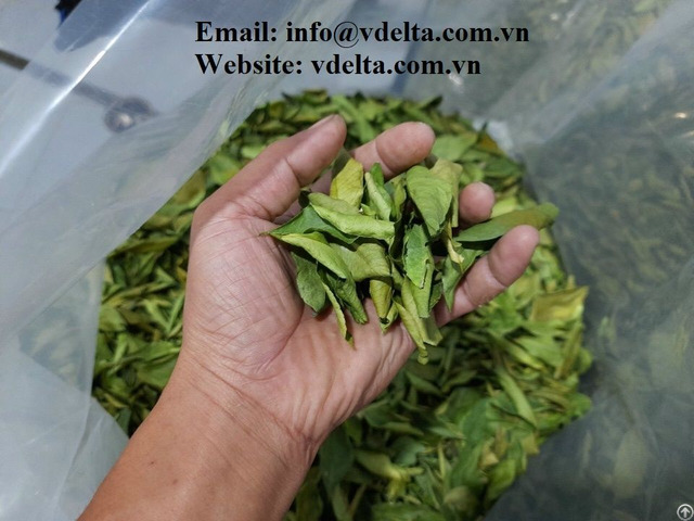 Dried Lemon Leaves Good Price For Sale