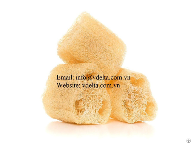 Loofah Sponge From Vietnam