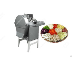 Vegetable And Fruit Dicing Machine