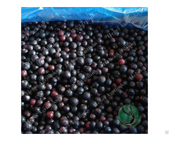 Frozen Blackcurrant