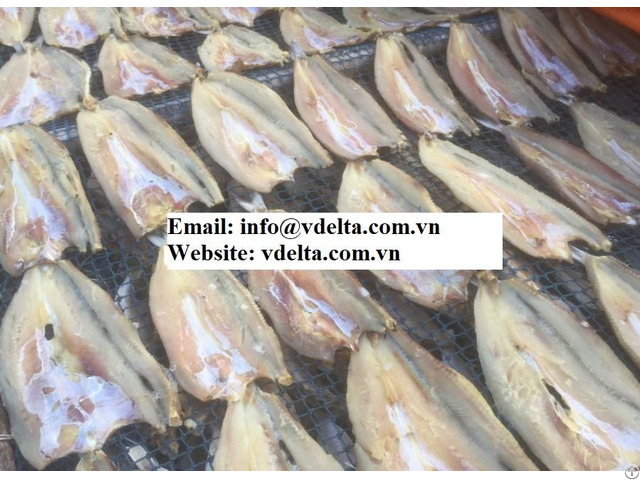 Natural Dried Lizard Fish For Sauce