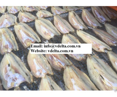 Natural Dried Lizard Fish For Sauce