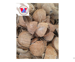 Coconut Shell Raw From Viet Nam