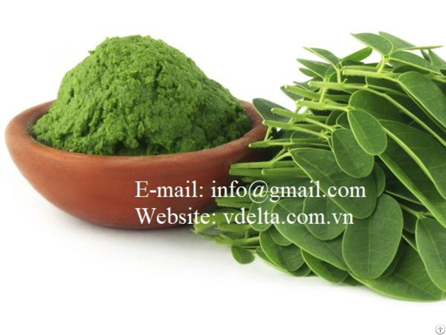 Moringa Leaf Powder From Vietnam