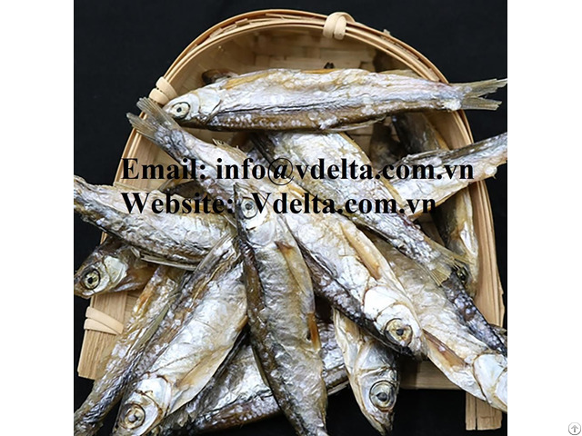 Packed Herring Dried Fishes