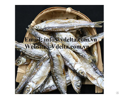 Packed Herring Dried Fishes