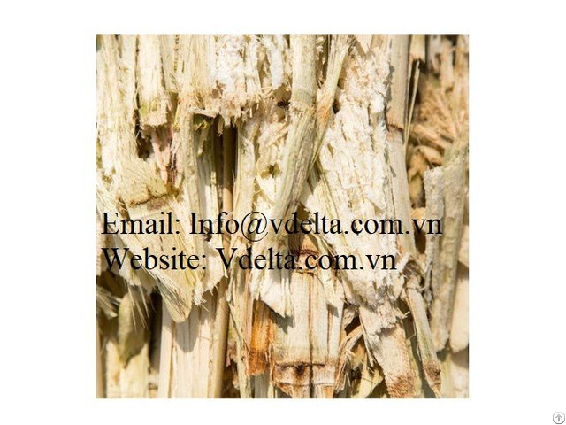 Sugarcane Bagasse Pressed Block