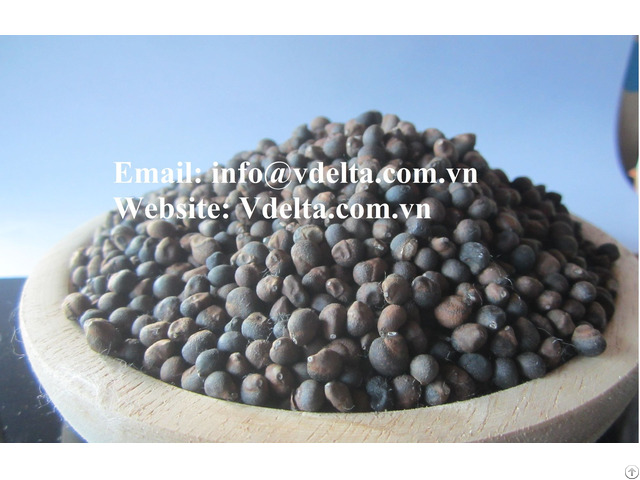 Kapok Seeds From Vietnam