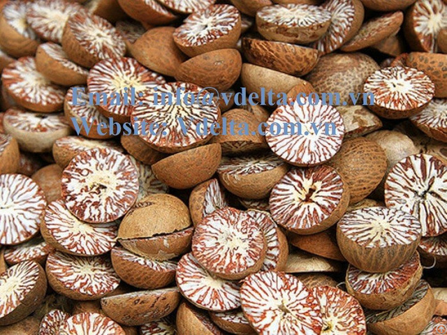 Dried Betel Nuts