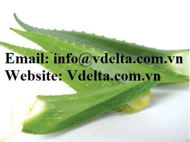 Aloe Vera Jelly From Viet Nam