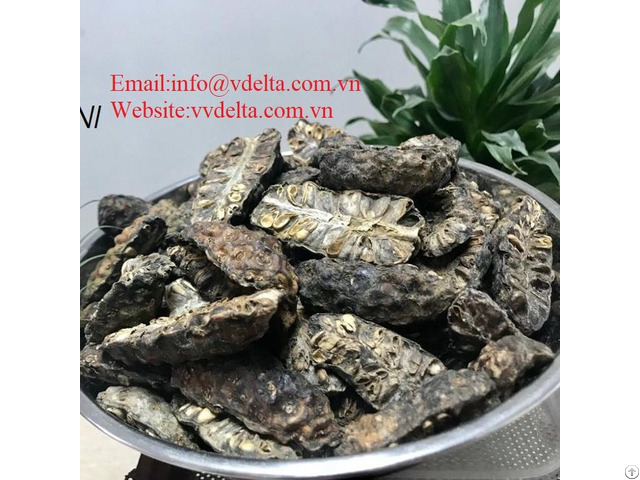 Dried Noni Fruit From Vietnam