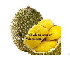 Fresh Durian From Vietnam
