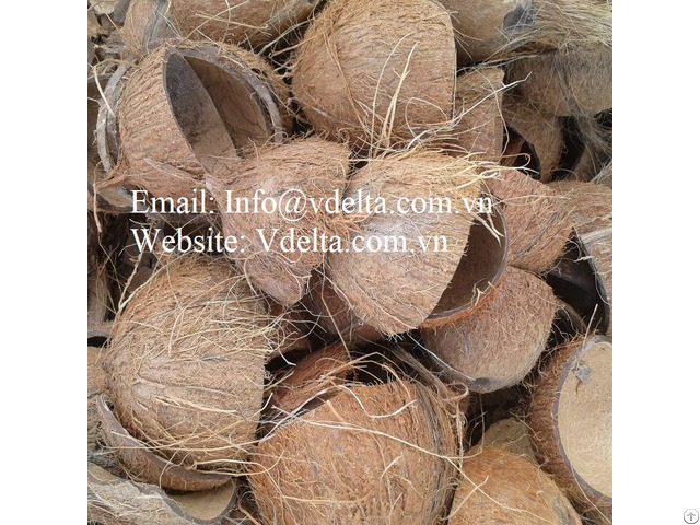 Coconut Shell Raw From Vietnam