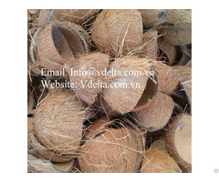 Coconut Shell Raw From Vietnam