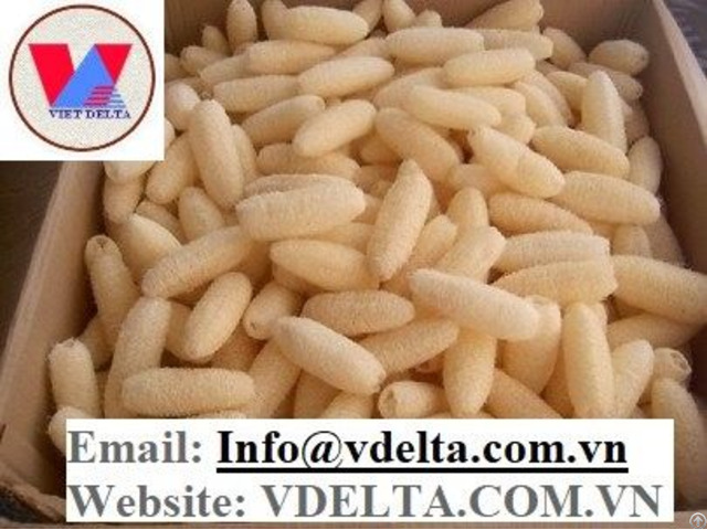 Natural Luffa From Viet Nam