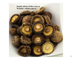 Dried Shiitake Mushroom Vn