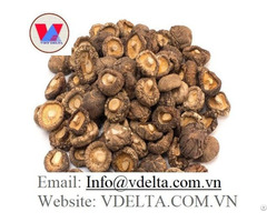 Dried Shiitake Mushroom Stem High Quality