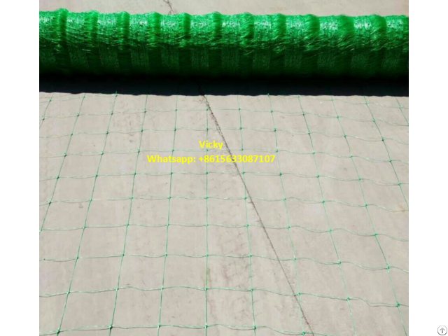 Support Trellis Netting For Climbing Plant