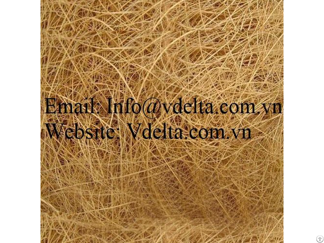 Coconut Fiber From Vietnam