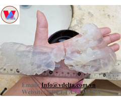 Salted Jelly Fish For Food High Quality Cheap Price
