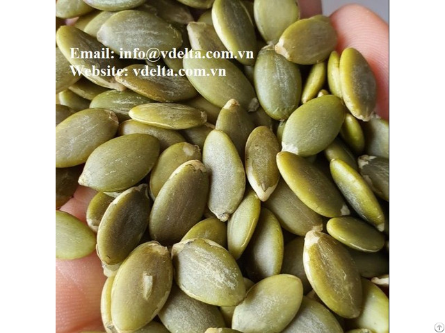 Pumpkin Seeds With Best Price