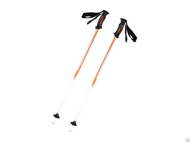 Eds09 Rubber Handle Carbon Fiber Ski Pole