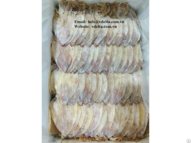 Viet Nam Best Price Dried Squid