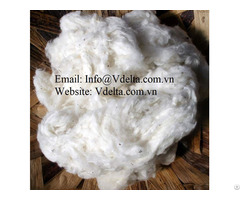 Raw Cotton Wool