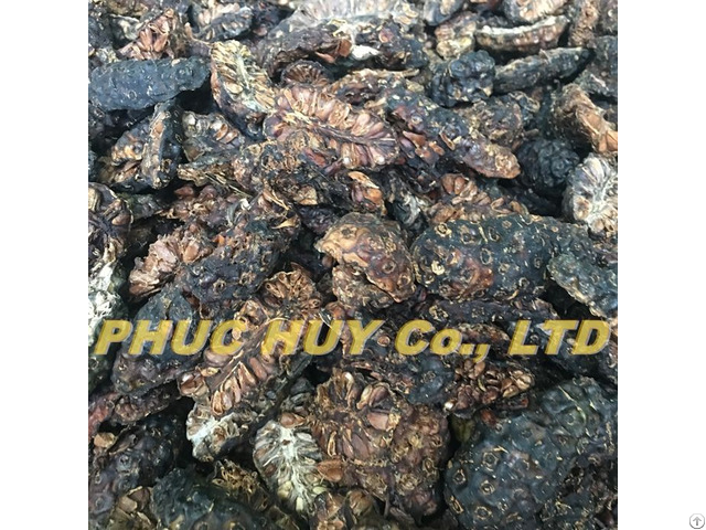 Dried Noni Fruit From Trusted Supplier In Vietnam