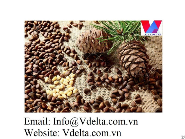 Cheap Pine Nuts From Vietnam