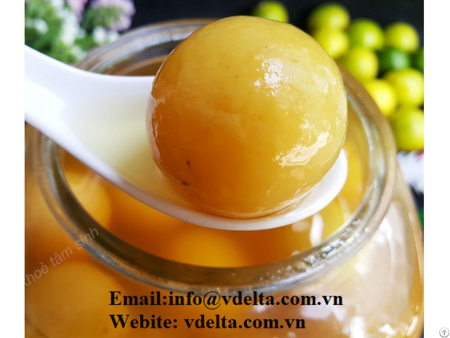 Salted Lemon Hight Quality From Vietnam