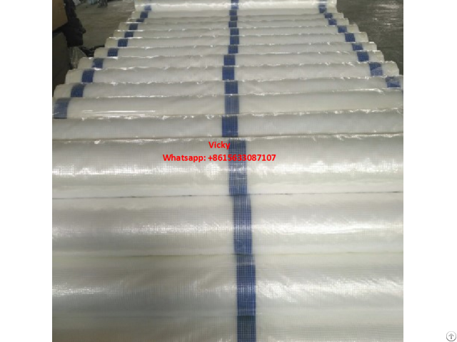 Leno Scaffold Sheeting Pe Tarpaulin