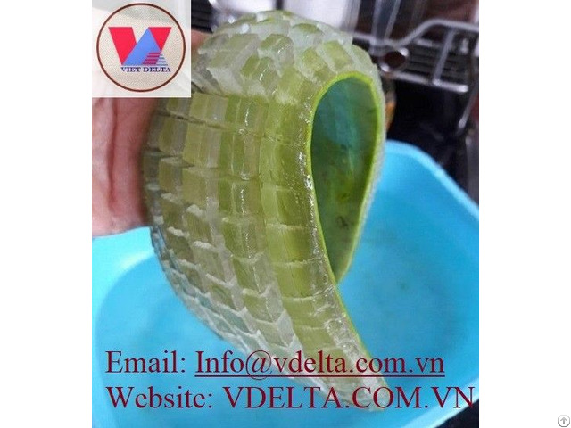 Fresh Aloe Vera Leaf From Viet Nam