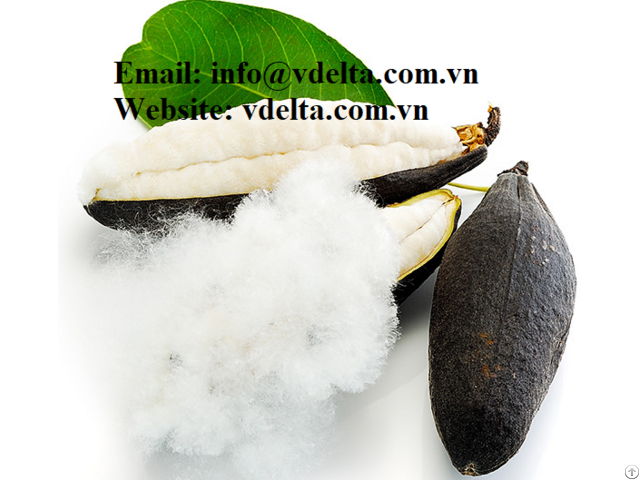 Vietnamese High Quality Natural Kapok Fiber