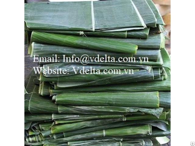 Dried Banana Leaf