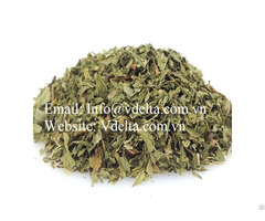 High Quality Dried Papaya Leaves