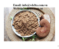 Dried Reishi Mushroom From Vietnam