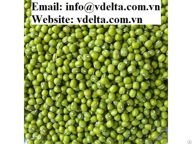 Vietnam Green Beans Best Price In 2020