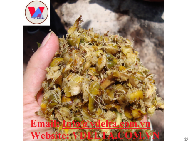 Pineapple Silage High Quality
