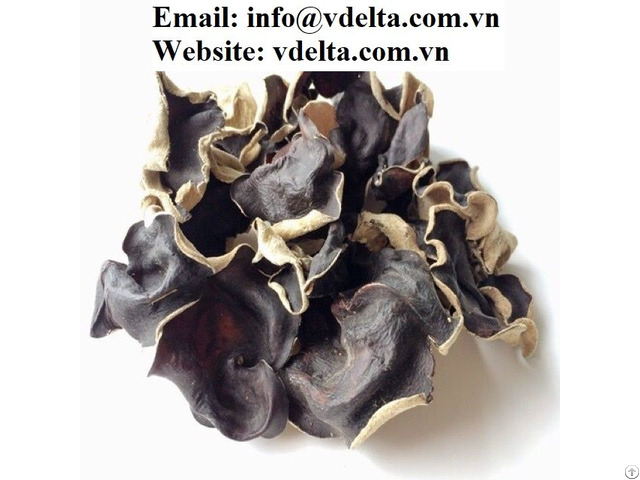 Dried Black White Fungus