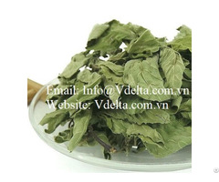 Dried Marigold Mint Leaf From Vietnam