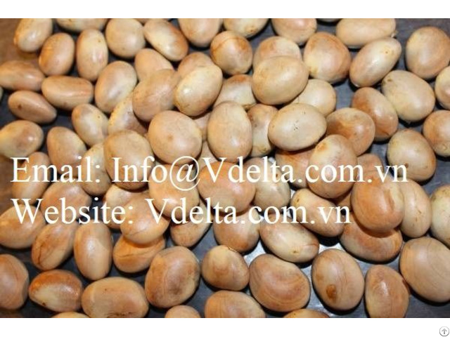 Vietnam Dried Jackfruit Seeds High Quality