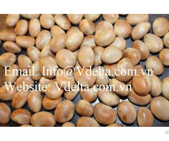 Vietnam Dried Jackfruit Seeds High Quality