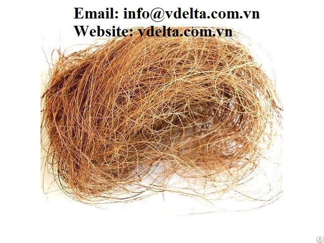 Best Quality Coconut Fiber