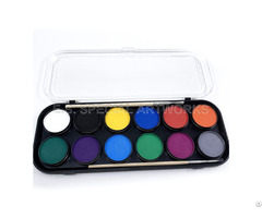 Es Fpe 012 12 Customized Color Professional Round Palette